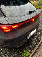 IMG_7487.jpeg
