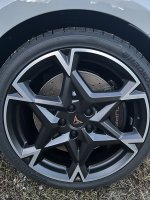 IMG_3408.jpeg