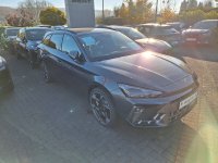 Cupra02.jpg