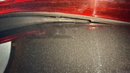 IMG_7184.jpeg