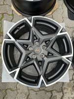 IMG_1975.jpeg