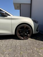 IMG_4429.JPEG