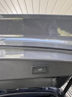 IMG_8895.jpeg