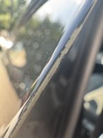 IMG_4605.jpeg