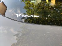 pro-elluLnR3.jpeg