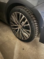 IMG_3835.jpeg