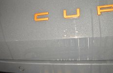 IMG_20260115_203838.jpg