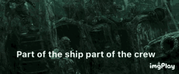 pirates-of.gif