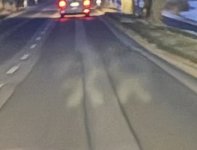 IMG_1538.jpeg IMG_1538.jpeg