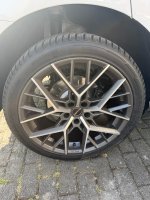 IMG_9905.jpeg