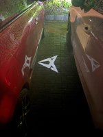 IMG_9893.jpeg