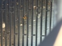 IMG_7037.jpeg