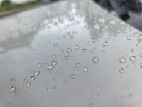 CUPRA - Dr. Wack - Motorhaube.jpg