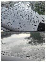 CUPRA vs. Focus - Panoramadach.jpg