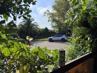 IMG_3869.jpeg