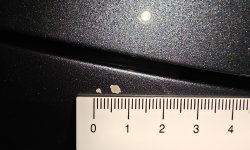 IMG_20260911_140902.jpg